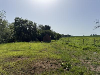 Picture 5